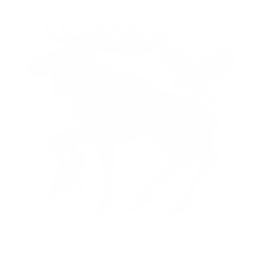 logo-10 Image